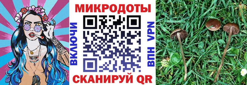 Галлюциногенные грибы Cubensis  Купить  Покровск 
