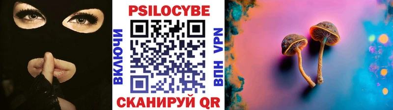 Галлюциногенные грибы Psilocybine cubensis Покровск